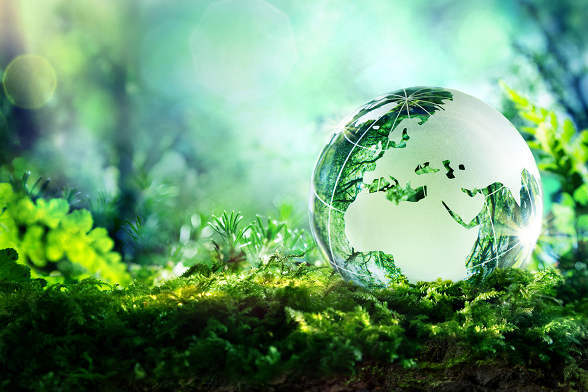 transition écologique